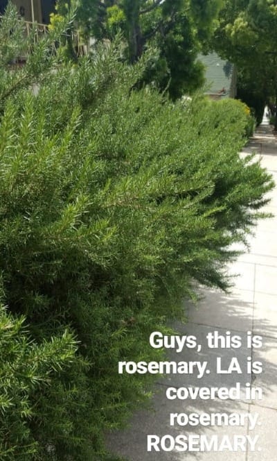 The wealthiest men all have bad hair and I think that matters